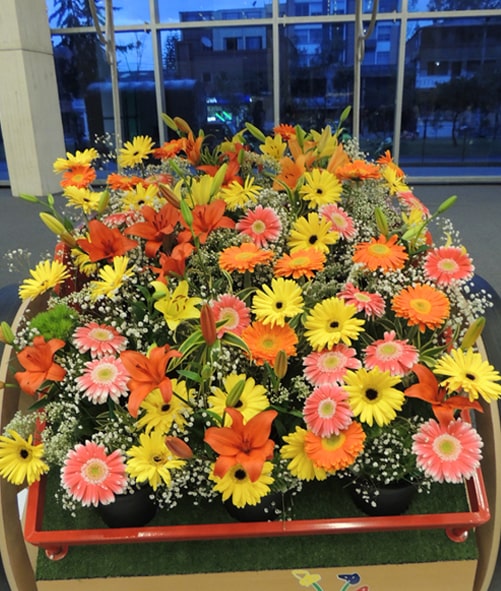 Bulk Flowers | Bulk Flowers Near Me | Wholesale Flowers Columbus